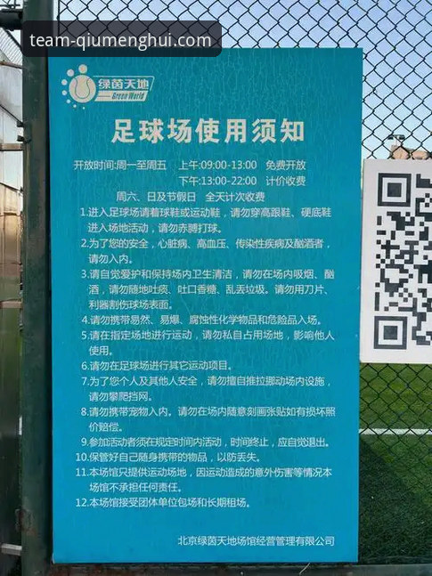 深度揭秘球盟会客户端下载：老用户亲测的流畅体验与避坑指南